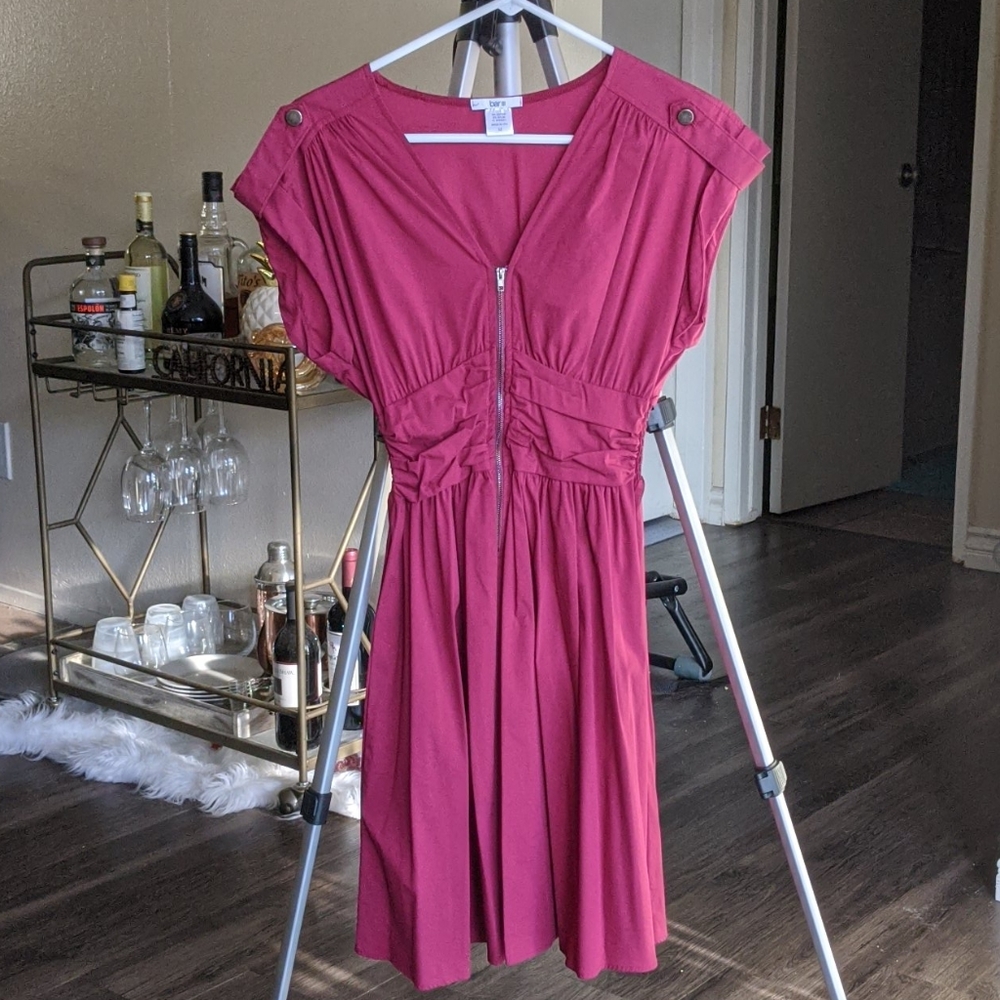 Pink Bar III retro fit and flare shirtdress